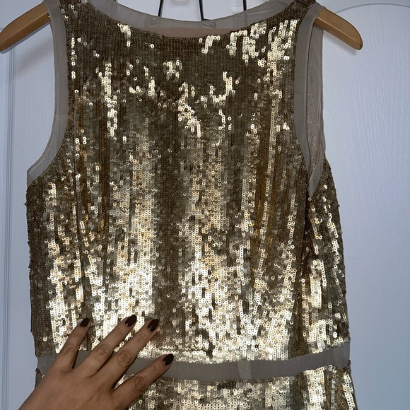 #2- Club Monaco. Silk and sequin dress. New with Tags! - Picture 9 of 13